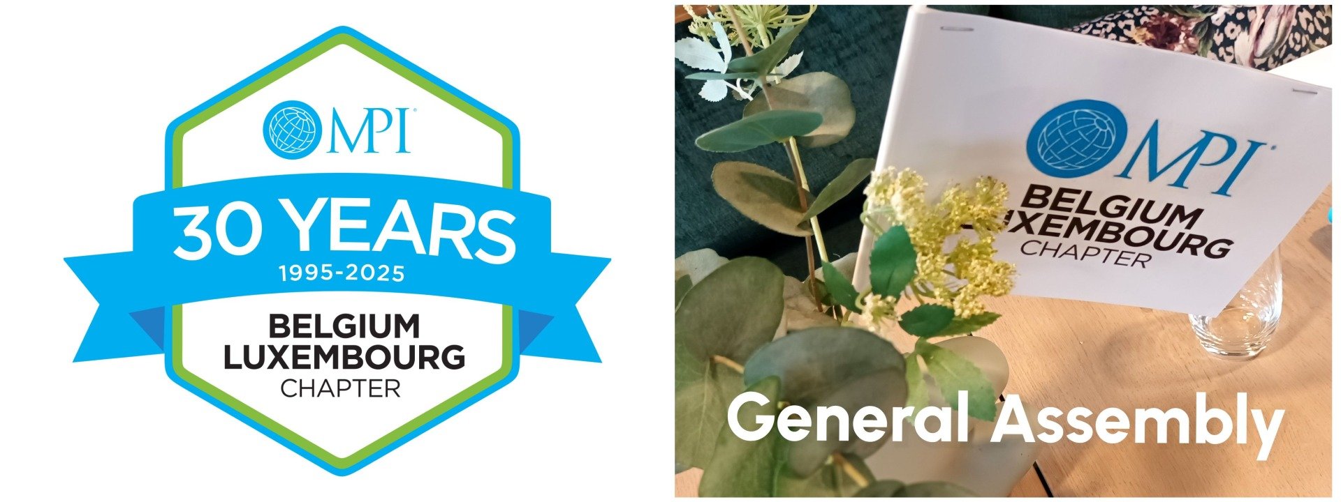 MPI Belgium-Luxembourg Chapter General Assembly - online on Friday October 23, 2026 at 12:00 noon
